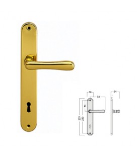 HANDLE ON BACKPLATE WITH RETURN SPRING